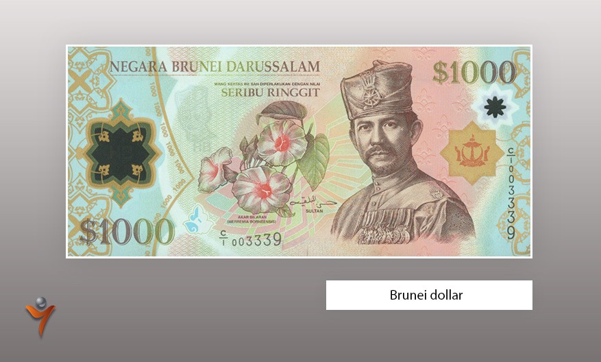 polymer notes