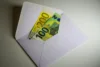How the Postal Service Became a Bank