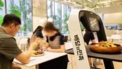 Brand new dining experience: top 5 automated restaurants