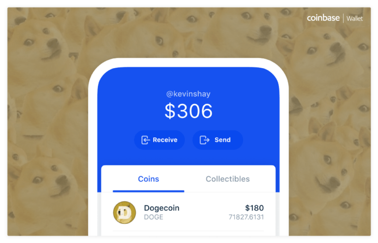 which crypto wallet supports dogecoin