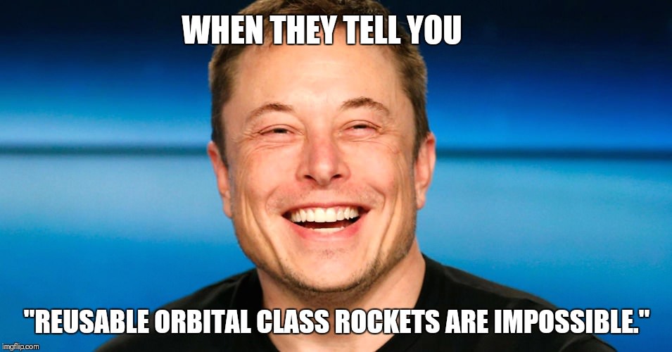 Elon Musk meme review