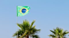Over 12,000 Brazil companies break the record for crypto holdings 