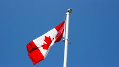 Canadian government and Shopify launched new initiative for SMEs