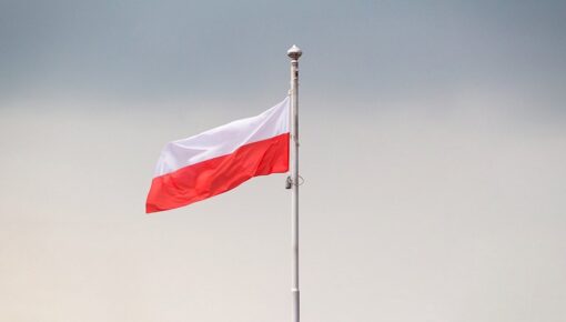 Less than half of Polish B2Bs sell online