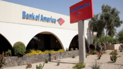 Bank of America introduced a fraud prevention tool