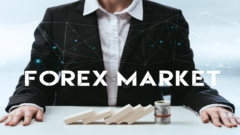 5 Best Forex Merchant Account Solutions in 2022