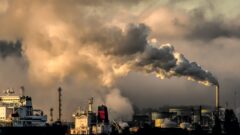 World Bank Launches Carbon Asset Tracking System