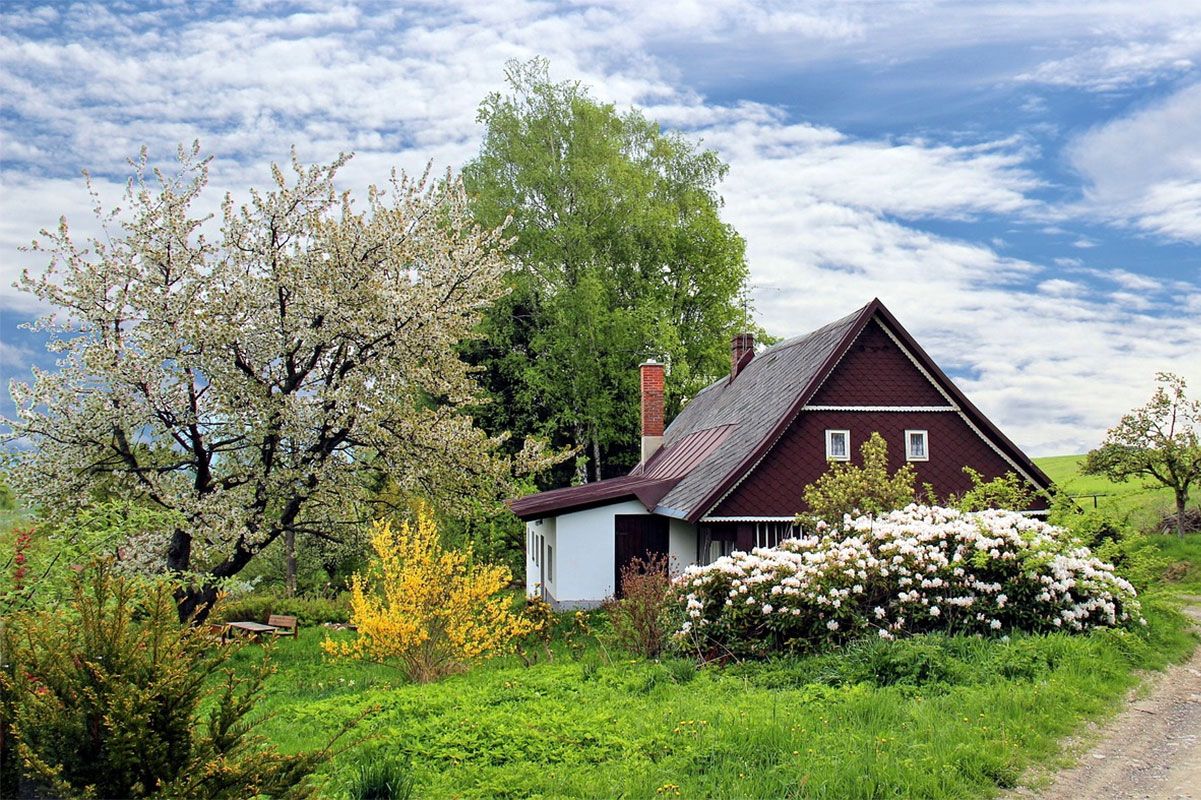 Why Gardening is Good for Your Health and Mental Well-being