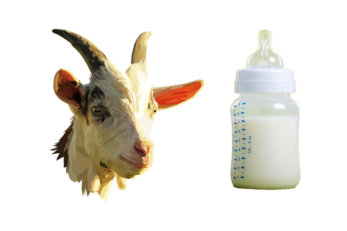 Exploring the Whimsical World of Organic Goat's Milk Baby Formula