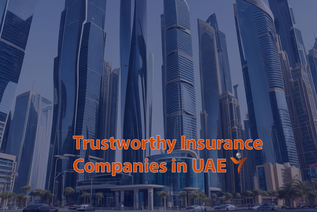 Trustworthy Insurance Companies in UAE in 20024
