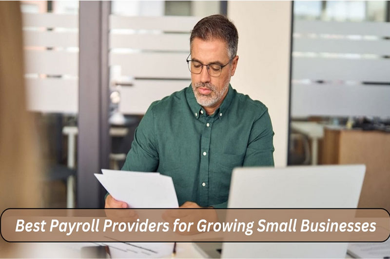 Best Payroll Providers for Growing Small Businesses