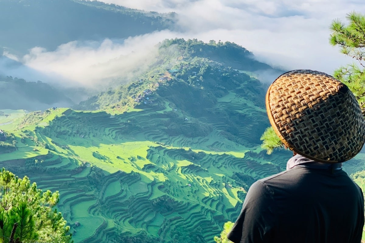 Wise Powers 12% Remittances to Philippines With Full InstaPay & PESONet Integration