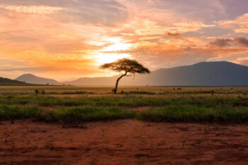 Invest Africa Convenes The Africa Debate 2026 to Redefine Partnership in a Changing World