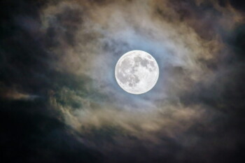 SpaceX IPO Filing and Artemis II Mission Signal New Phase for Commercial Space Industry