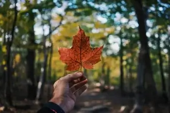 Grey Registers As Payment Service Provider Under Canada’s RPAA