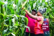 Kaleidofin Closes KES 276 Million Agri-Finance Securitisation In Kenya