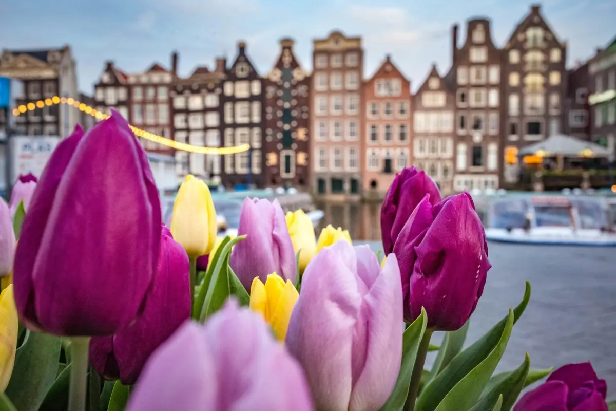 Silverflow Grows Headcount By 20% And Relocates Amsterdam HQ Two Months After $40M Series B