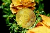 SEC Proposes New Crypto Rules & FASB Moves to Clarify Digital Asset Accounting