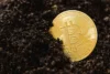 Bitcoin After CLARITY Act Setback: HashKey’s Tim Sun on Price, Regulation & $400K Target